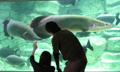 �̌����i�̎ʐ^