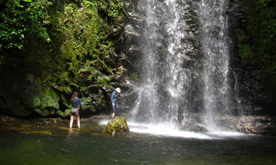 �̌����i�̎ʐ^