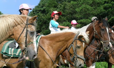 �̌����i�̎ʐ^