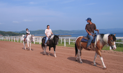 �̌����i�̎ʐ^