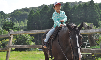 �̌����i�̎ʐ^