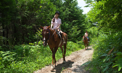 �̌����i�̎ʐ^