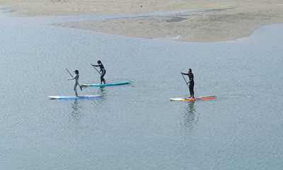 �̌����i�̎ʐ^