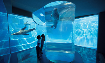 �̌����i�̎ʐ^