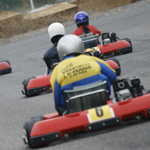 �̌����i01