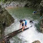 �̌��̕��i1