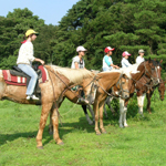 �̌����i01