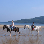 �̌����i01