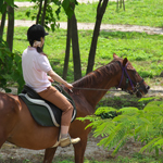 �̌��̕��i1