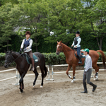 �̌��̕��i1