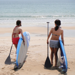 �̌����i01