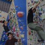 �̌����i01