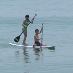 �̌����i01