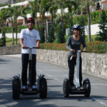 �̌����i01