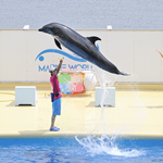 �̌����i01