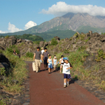 �̌��̕��i1