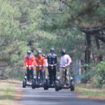 �̌��̕��i1