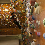 �̌��̕��i1