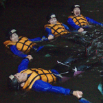 �̌����i02