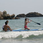 �̌����i02