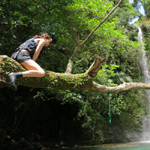 �̌��̕��i2