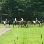 �̌����i02