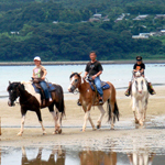 �̌����i02