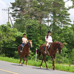 �̌��̕��i2