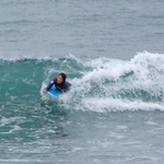 �̌����i02