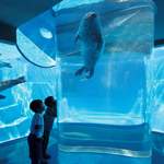 �̌����i02