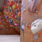 �̌��̕��i2