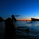 �̌��̕��i2