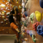 �̌��̕��i2