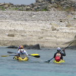 �̌����i03