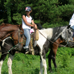 �̌����i03