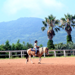 �̌����i03