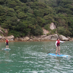 �̌����i03