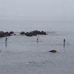 �̌����i03