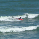 �̌����i03