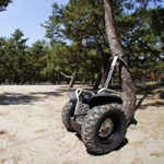 �̌��̕��i3