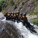 �̌����i04