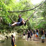 �̌��̕��i4