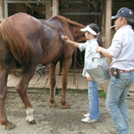 �̌����i04