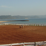 �̌����i04