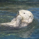 �̌����i04