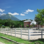 �̌��̕��i4