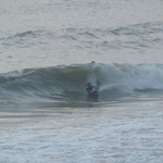 �̌����i04