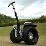 �̌����i04