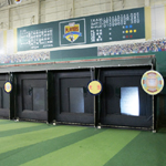 �̌��̕��i4