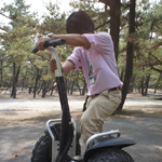 �̌��̕��i4